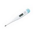 Mini Thermometer